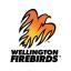 Wellington Firebirds
