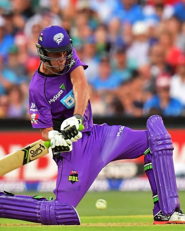 Hobart Hurricanes rope in star all-rounder Beau Webster until BBL|17