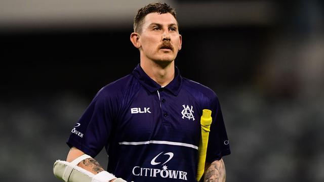 The Nic Maddinson Chapter : Domestic & International Career, Facts & Figure