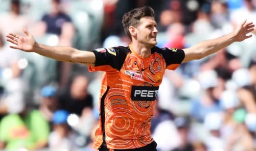 David Payne replaces injured Rashid Khan in Adelaide Strikers squad