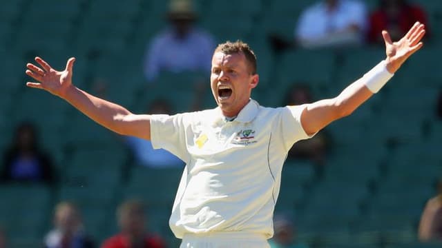 The Peter Siddle Chapter : Domestic & International Career, Facts & Figure