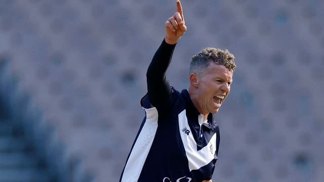 Veteran quick Peter Siddle joins Melbourne Stars for BBL|14