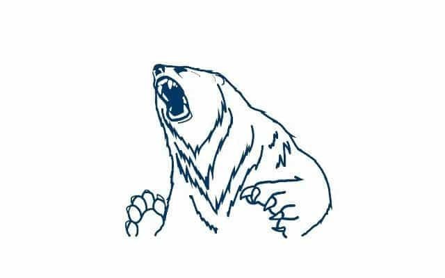 Birmingham Bears to be named Birmingham Polar Bears for T20 Blast 2023