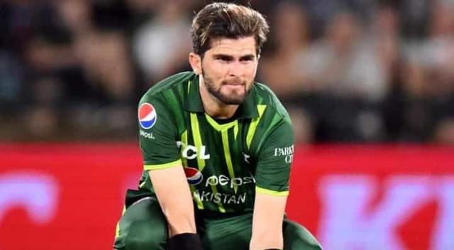 Shaheen-Chapman saw significant rise in ICC rankings