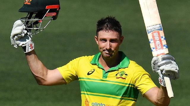 The Shaun Marsh Chapter : Domestic & International Career, Facts & Figure