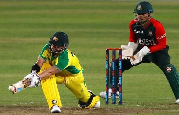 Certainly the toughest conditions to play: Wade after 4-1 T20I series loss