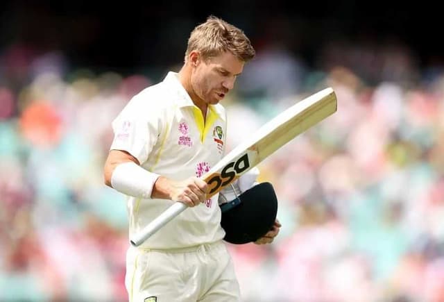 David Warner quits leadership review