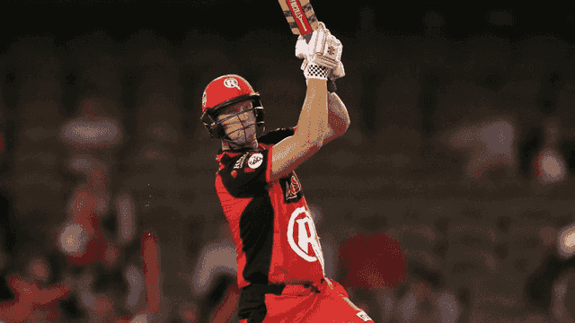 Cameron White to become Melbourne Renegades' new head coach
