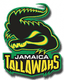 Jamaica Kingsmen