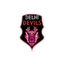Delhi Devils