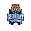 Gujarat Tigers