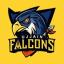 Ujjain Falcons