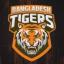 Bangladesh Tigers