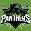 Pakistan Panthers