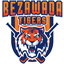 Bezawada Tigers