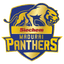 Siechem Madurai Panthers