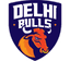 Delhi Bulls