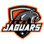 Rewa Jaguars