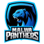 Malwa Panthers