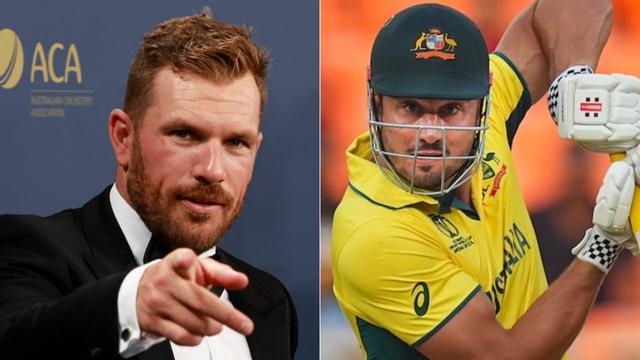 Aaron Finch Slams Marcus Stoinis Over Sudden ODI Retirement