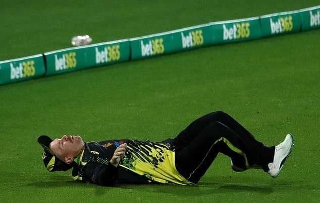 David Warner unlikely to play third T20I due to injury