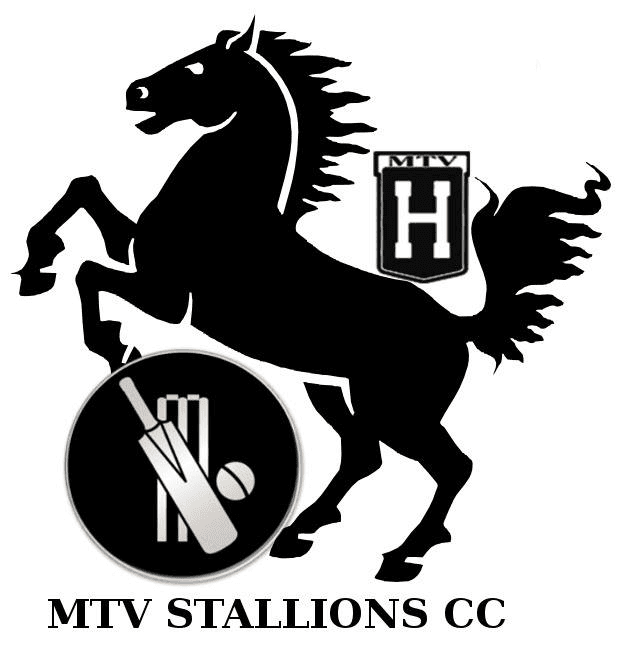 MTV Stallions